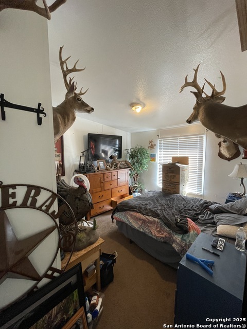 Image 18 of 28 For 538 County Road 4510