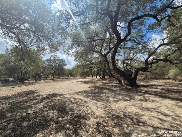 Image 19 of 21 For 517 Grapeland Dr