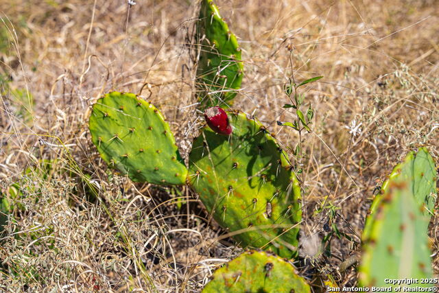 Image 15 of 15 For Tbd Wegner Road