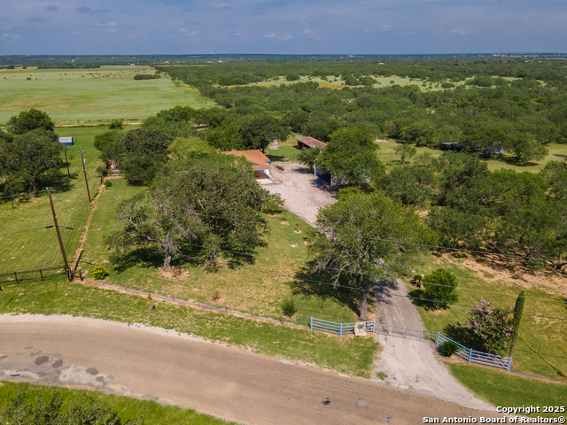 Image 10 of 44 For 400 Blue Quail