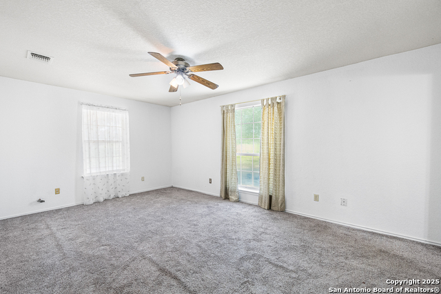 Image 16 of 44 For 400 Blue Quail