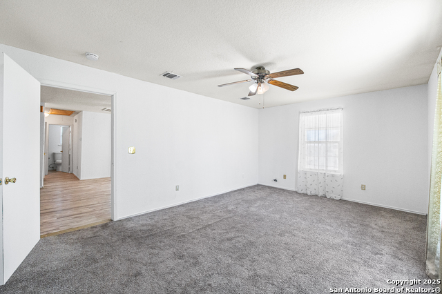 Image 19 of 44 For 400 Blue Quail