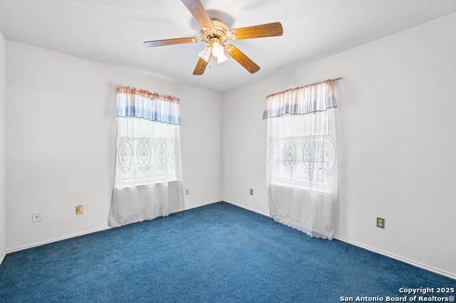 Image 21 of 44 For 400 Blue Quail