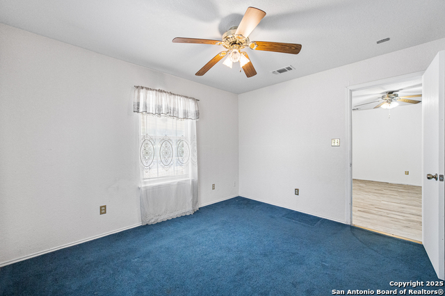 Image 22 of 44 For 400 Blue Quail