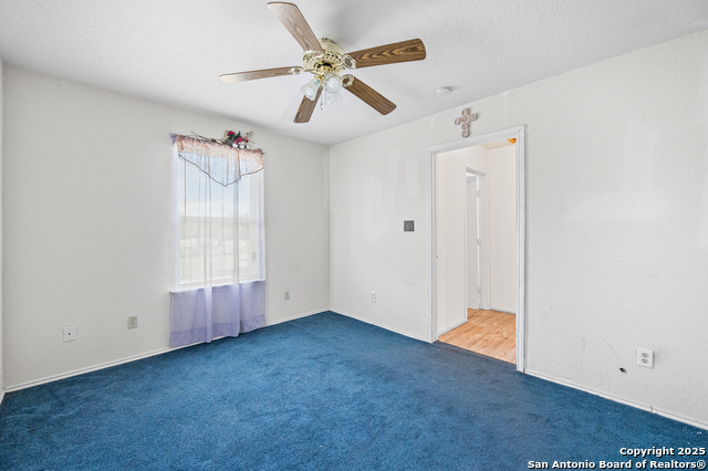 Image 26 of 44 For 400 Blue Quail