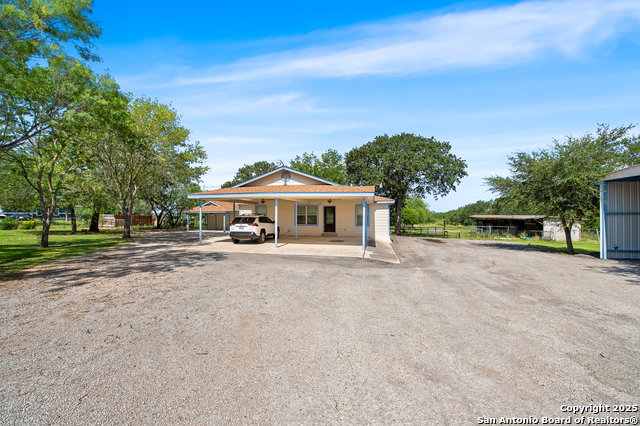 Image 29 of 44 For 400 Blue Quail