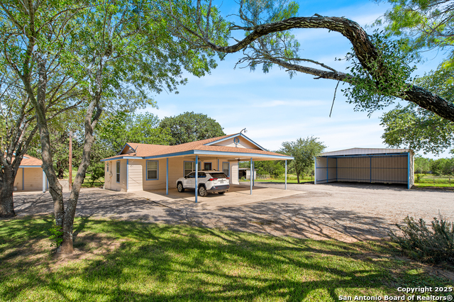 Image 31 of 44 For 400 Blue Quail