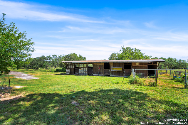 Image 33 of 44 For 400 Blue Quail