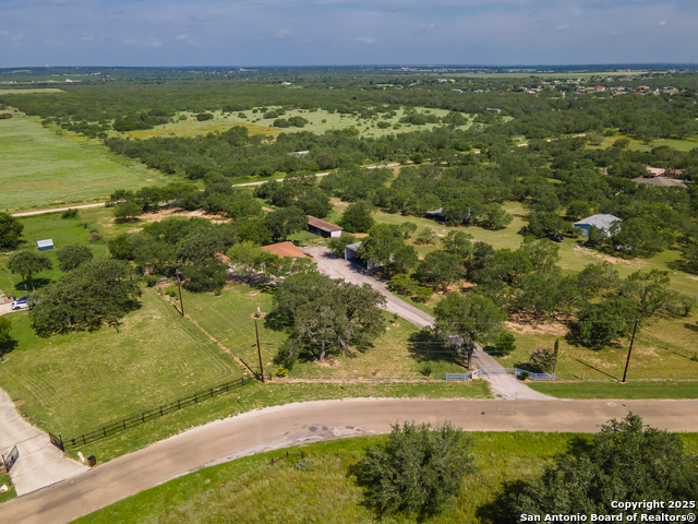 Image 35 of 44 For 400 Blue Quail