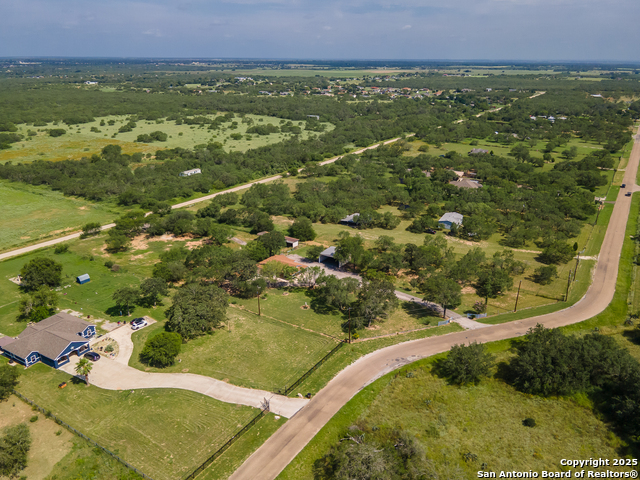 Image 38 of 44 For 400 Blue Quail