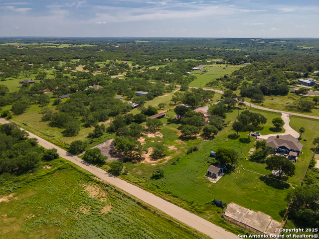 Image 39 of 44 For 400 Blue Quail