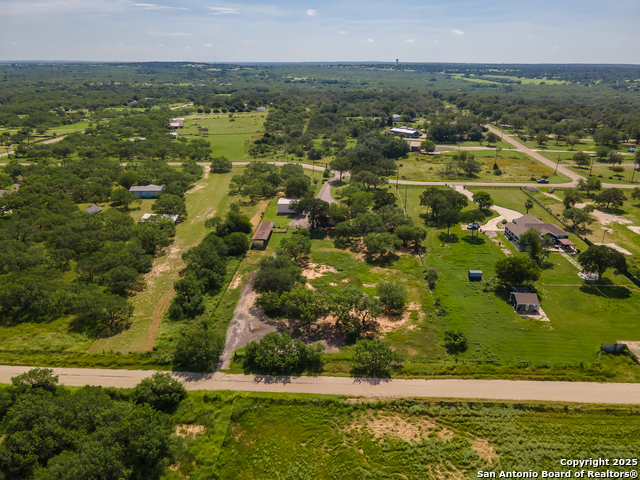 Image 40 of 44 For 400 Blue Quail