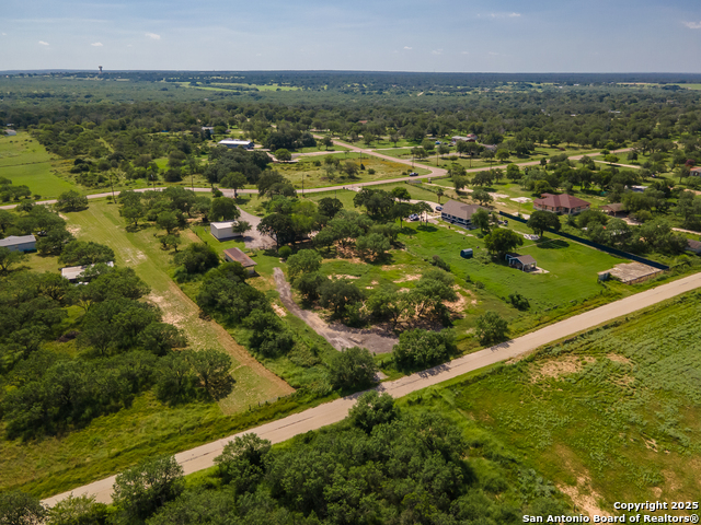 Image 41 of 44 For 400 Blue Quail