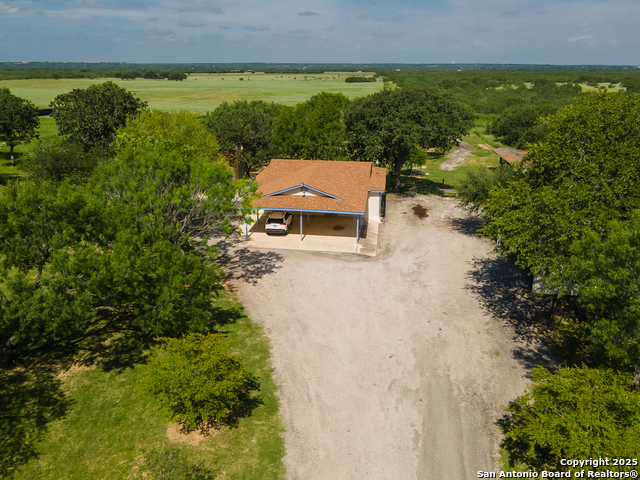 Image 44 of 44 For 400 Blue Quail