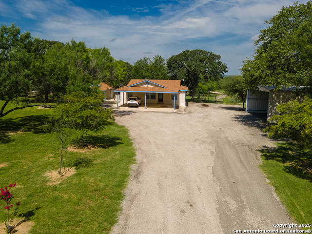 Image 6 of 44 For 400 Blue Quail