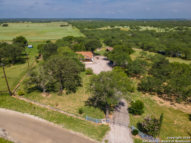 Image 8 of 44 For 400 Blue Quail