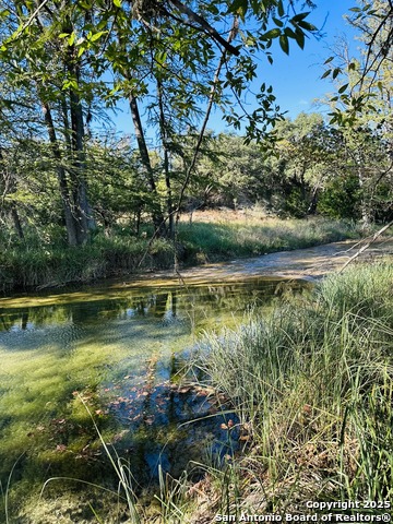 Image 13 of 23 For 267 Old Mill Creek Rd