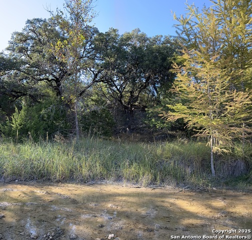 Image 14 of 23 For 267 Old Mill Creek Rd