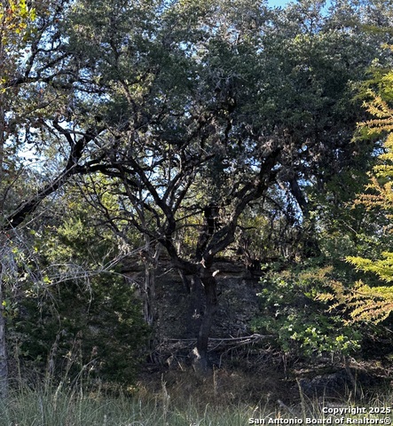 Image 15 of 23 For 267 Old Mill Creek Rd