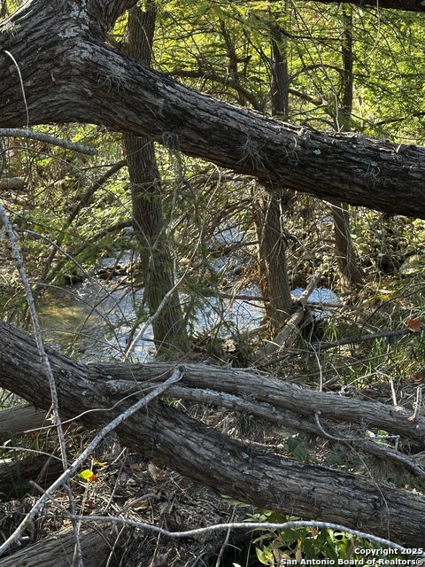 Image 21 of 23 For 267 Old Mill Creek Rd