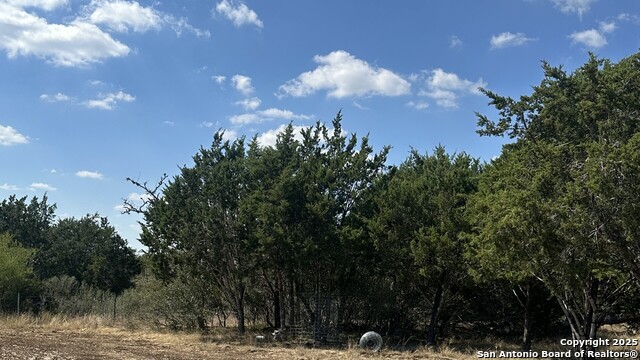 Image 2 of 7 For 395 Rohrbuch