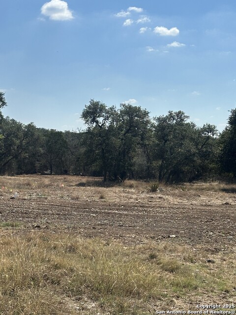 Image 6 of 7 For 395 Rohrbuch