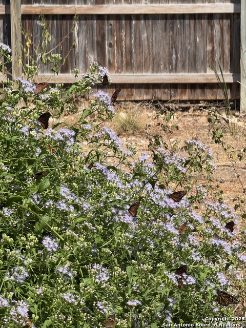 Image 31 of 31 For 300 Towne Vue