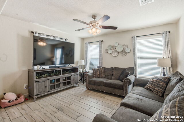 Image 11 of 32 For 8630 Spotted Owl