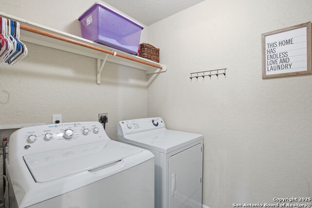 Image 12 of 32 For 8630 Spotted Owl