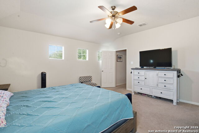 Image 13 of 32 For 8630 Spotted Owl