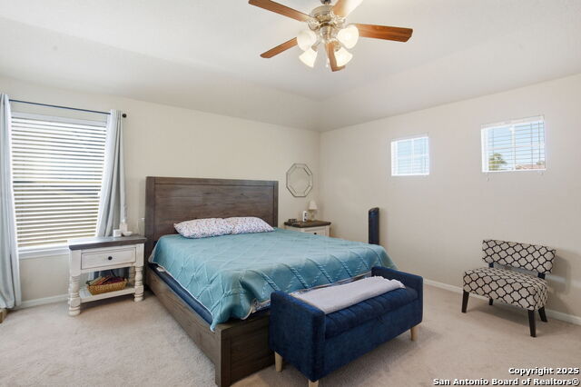 Image 14 of 32 For 8630 Spotted Owl