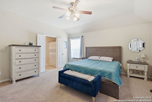 Image 15 of 32 For 8630 Spotted Owl