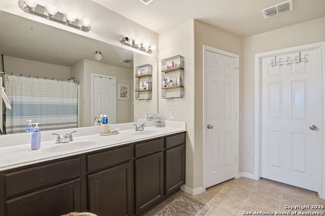 Image 16 of 32 For 8630 Spotted Owl