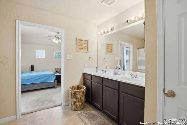 Image 17 of 32 For 8630 Spotted Owl