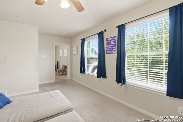 Image 18 of 32 For 8630 Spotted Owl