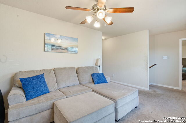 Image 19 of 32 For 8630 Spotted Owl