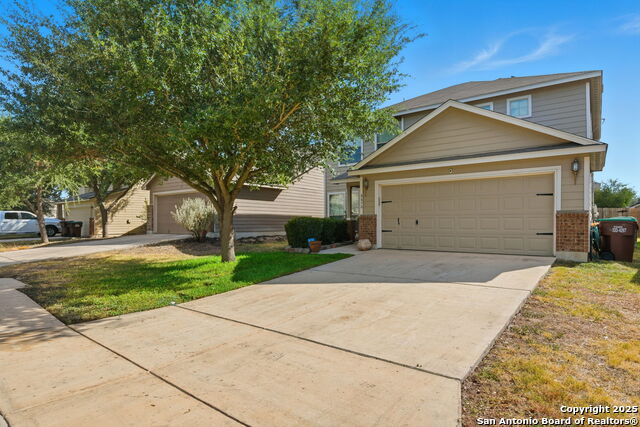 Image 2 of 32 For 8630 Spotted Owl