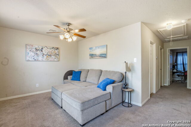 Image 20 of 32 For 8630 Spotted Owl