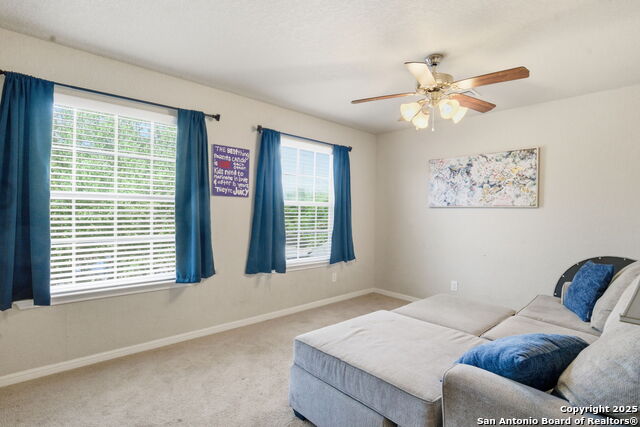 Image 21 of 32 For 8630 Spotted Owl