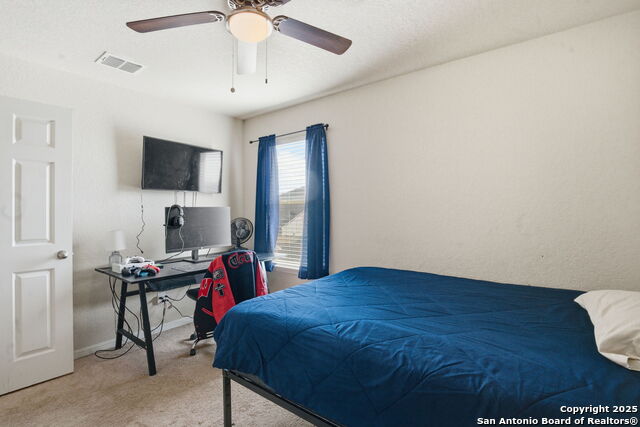 Image 22 of 32 For 8630 Spotted Owl