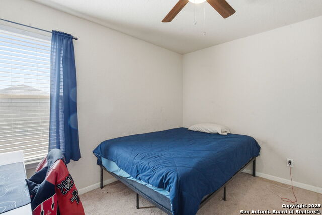 Image 23 of 32 For 8630 Spotted Owl