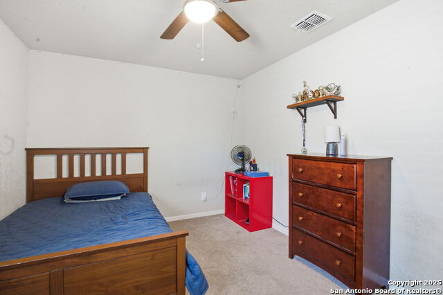 Image 24 of 32 For 8630 Spotted Owl