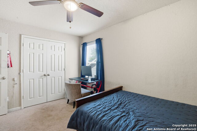 Image 25 of 32 For 8630 Spotted Owl