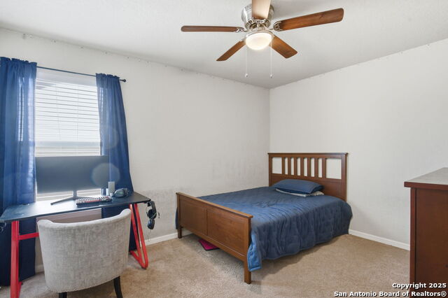 Image 26 of 32 For 8630 Spotted Owl