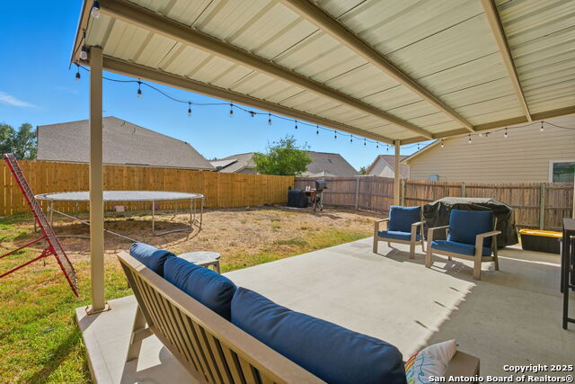 Image 29 of 32 For 8630 Spotted Owl