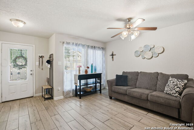 Image 3 of 32 For 8630 Spotted Owl