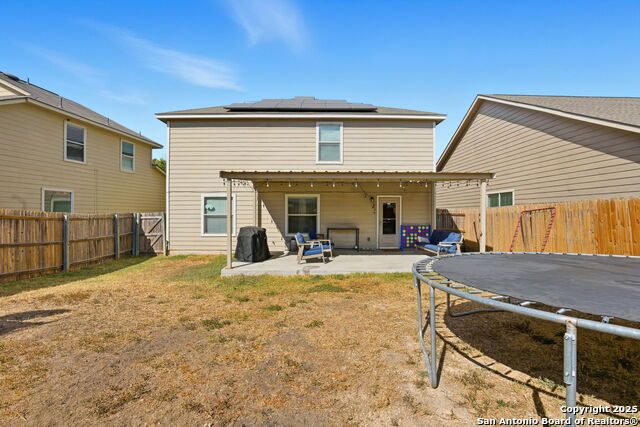 Image 30 of 32 For 8630 Spotted Owl