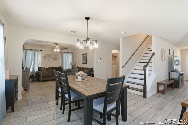 Image 7 of 32 For 8630 Spotted Owl