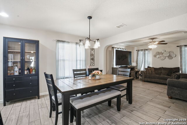 Image 8 of 32 For 8630 Spotted Owl