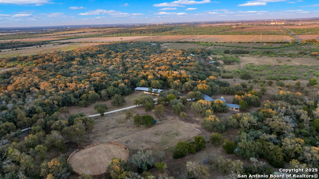 Listing photo id 60 for 4025 Marion  